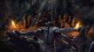 BUY The Elder Scrolls Online: Blackwood Upgrade Elder Scrolls Online CD KEY