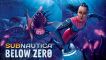 BUY Subnautica: Below Zero Steam CD KEY