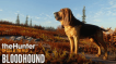 BUY theHunter: Call of the Wild™ - Bloodhound Steam CD KEY