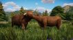 BUY Planet Zoo: Barnyard Animal Pack Steam CD KEY