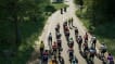 BUY Pro Cycling Manager 25 Steam CD KEY