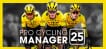 BUY Pro Cycling Manager 25 Steam CD KEY