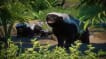 BUY Planet Zoo: Asia Animal Pack Steam CD KEY