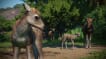 BUY Planet Zoo: Asia Animal Pack Steam CD KEY