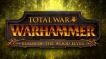 BUY Total War: Warhammer - The Realm of the Wood Elves Steam CD KEY